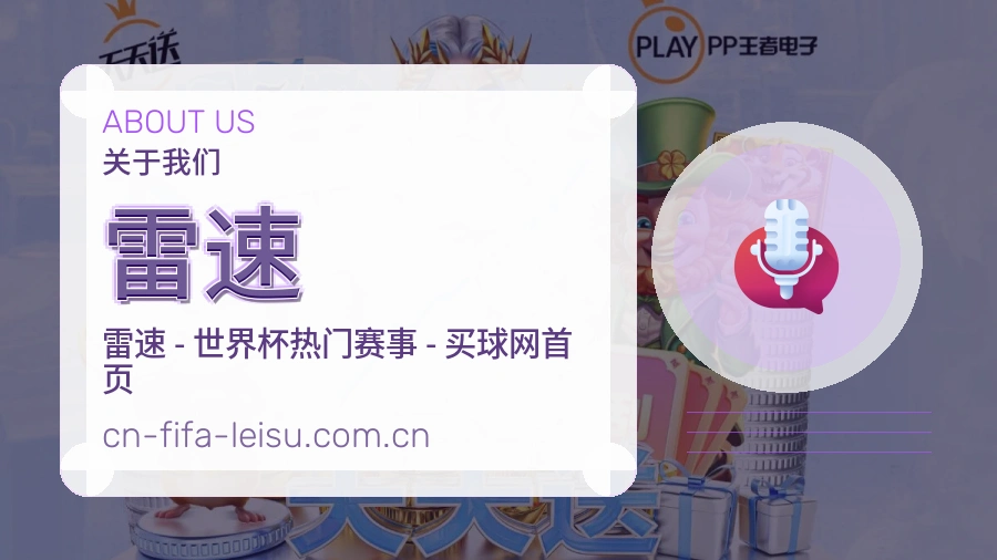 雷速服务说明